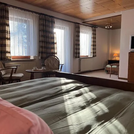 住宿加早餐酒店 Mountain View Sauerland 3*