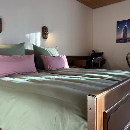 Mountain View Sauerland 3*